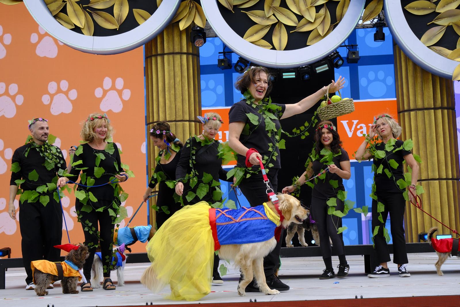 El carnaval canino de la capital grancanaria, en imágenes