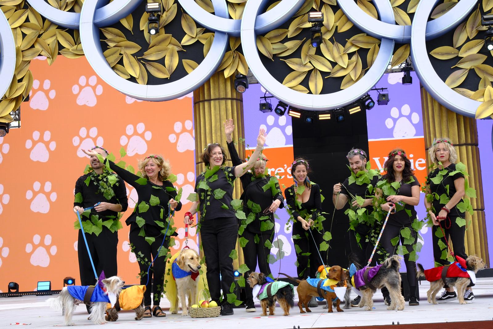 El carnaval canino de la capital grancanaria, en imágenes