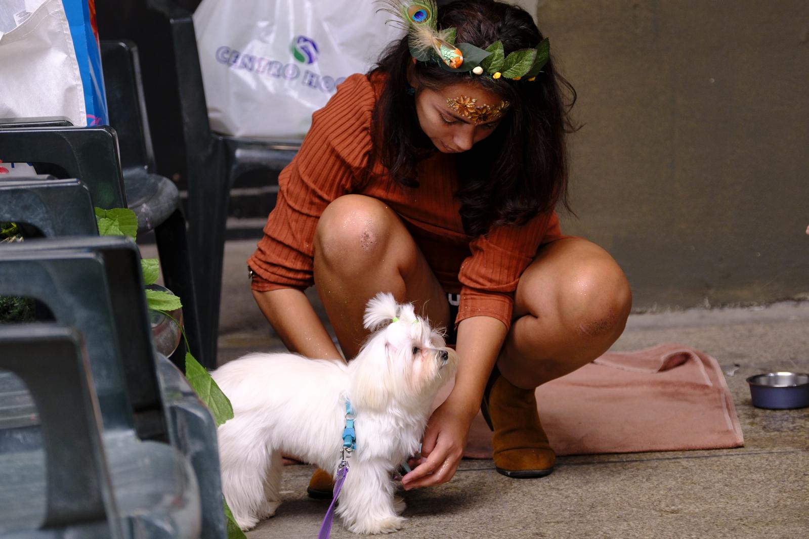 El carnaval canino de la capital grancanaria, en imágenes