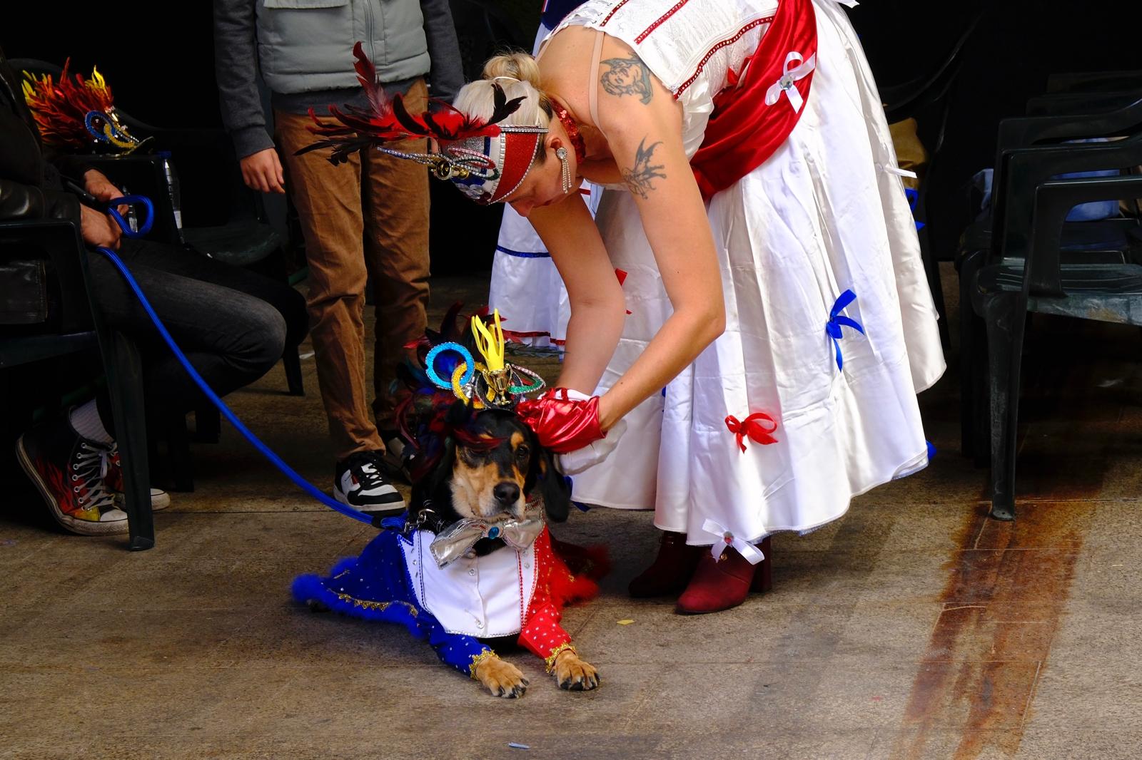 El carnaval canino de la capital grancanaria, en imágenes