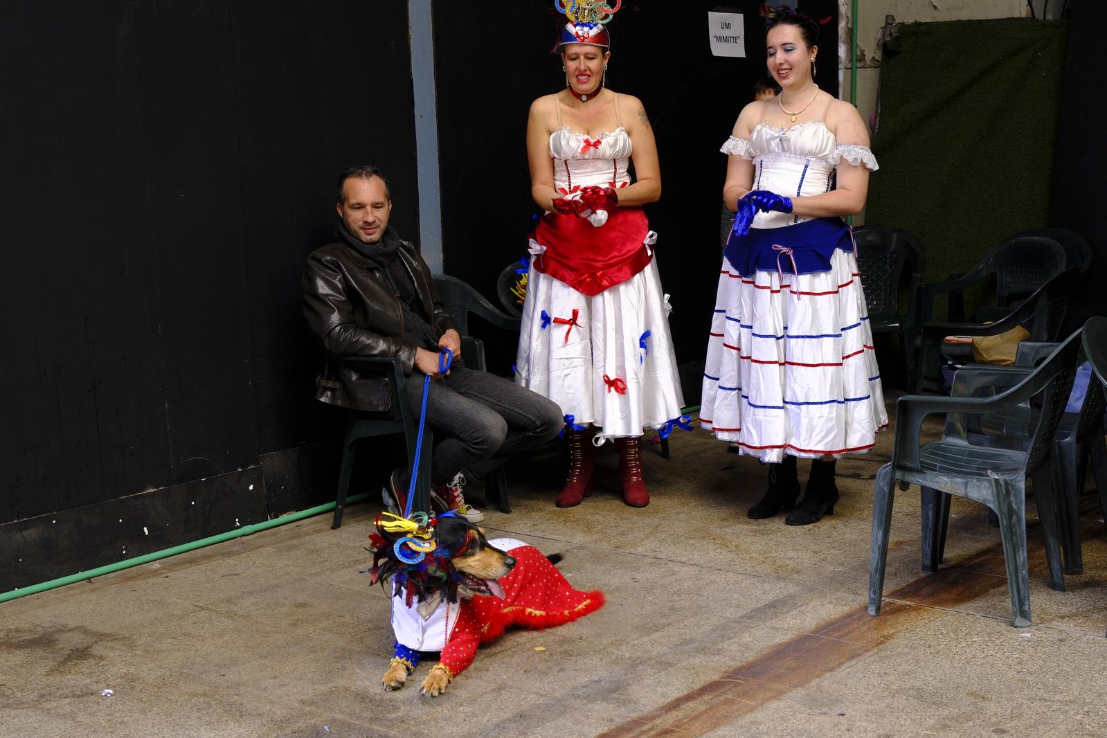 El carnaval canino de la capital grancanaria, en imágenes