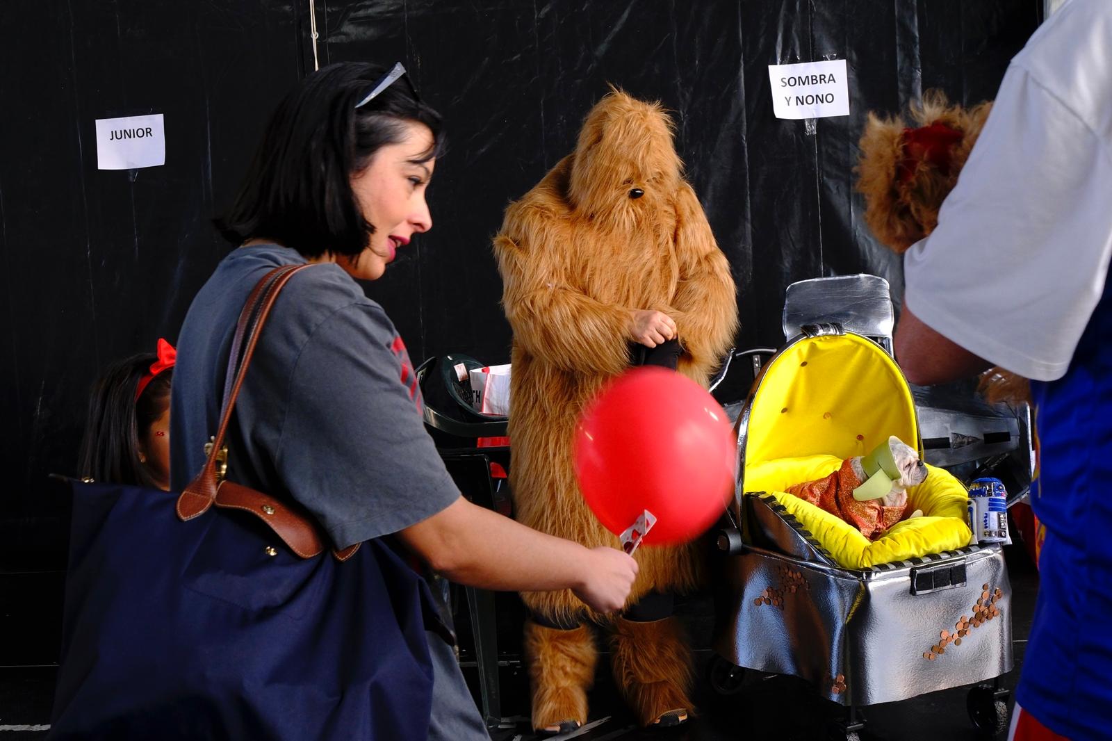 El carnaval canino de la capital grancanaria, en imágenes