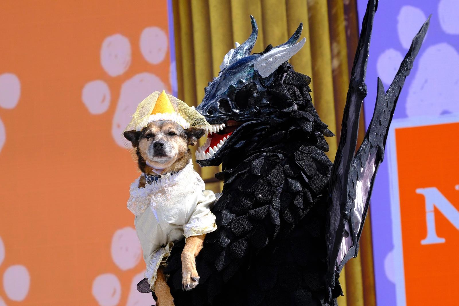 El carnaval canino de la capital grancanaria, en imágenes