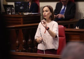 Nira Fierro, diputada regional del PSOE.