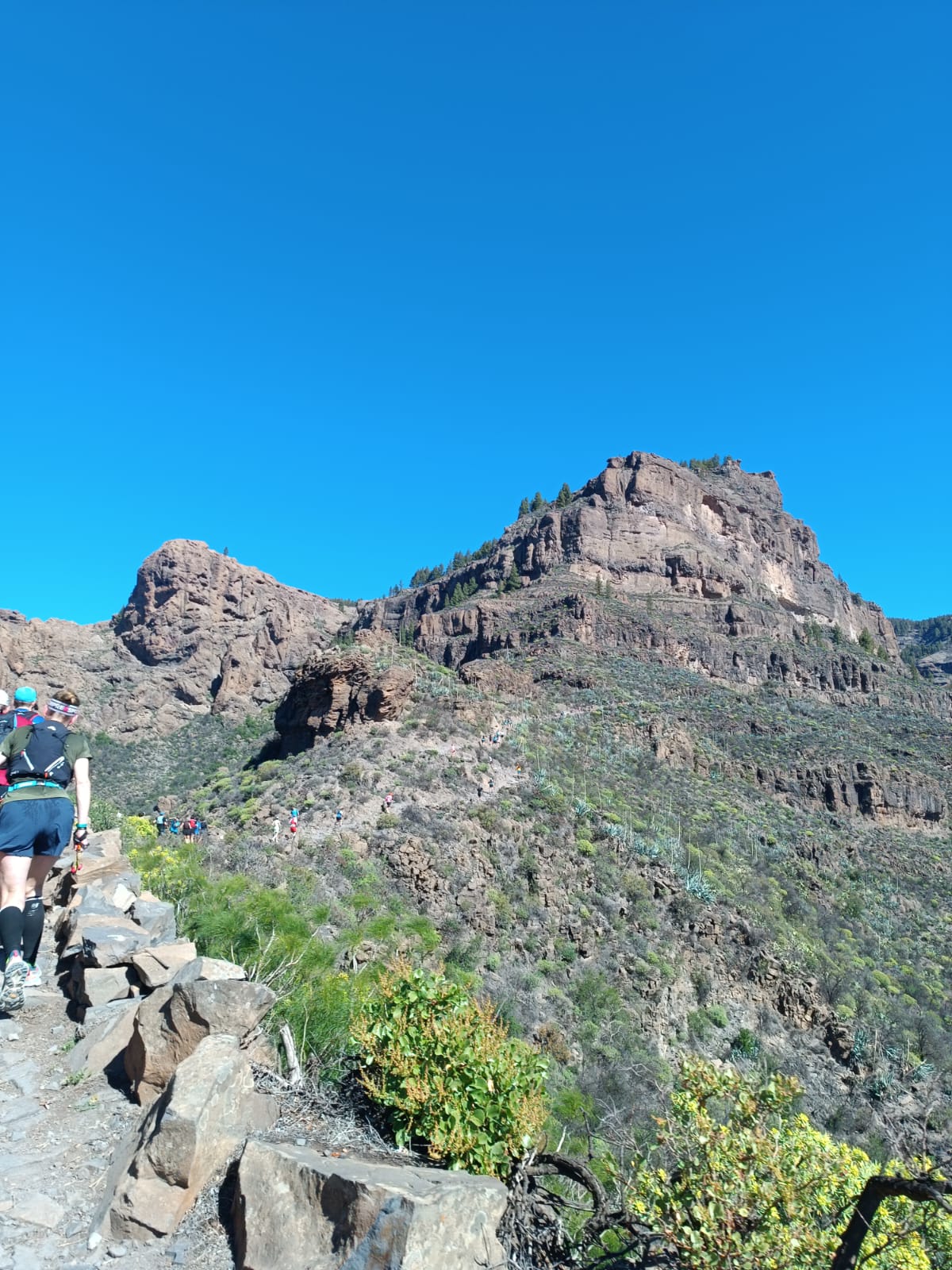 Imagen de los corredores de la media maratón de la Transgrancanaria subiendo el camino de La Plata.