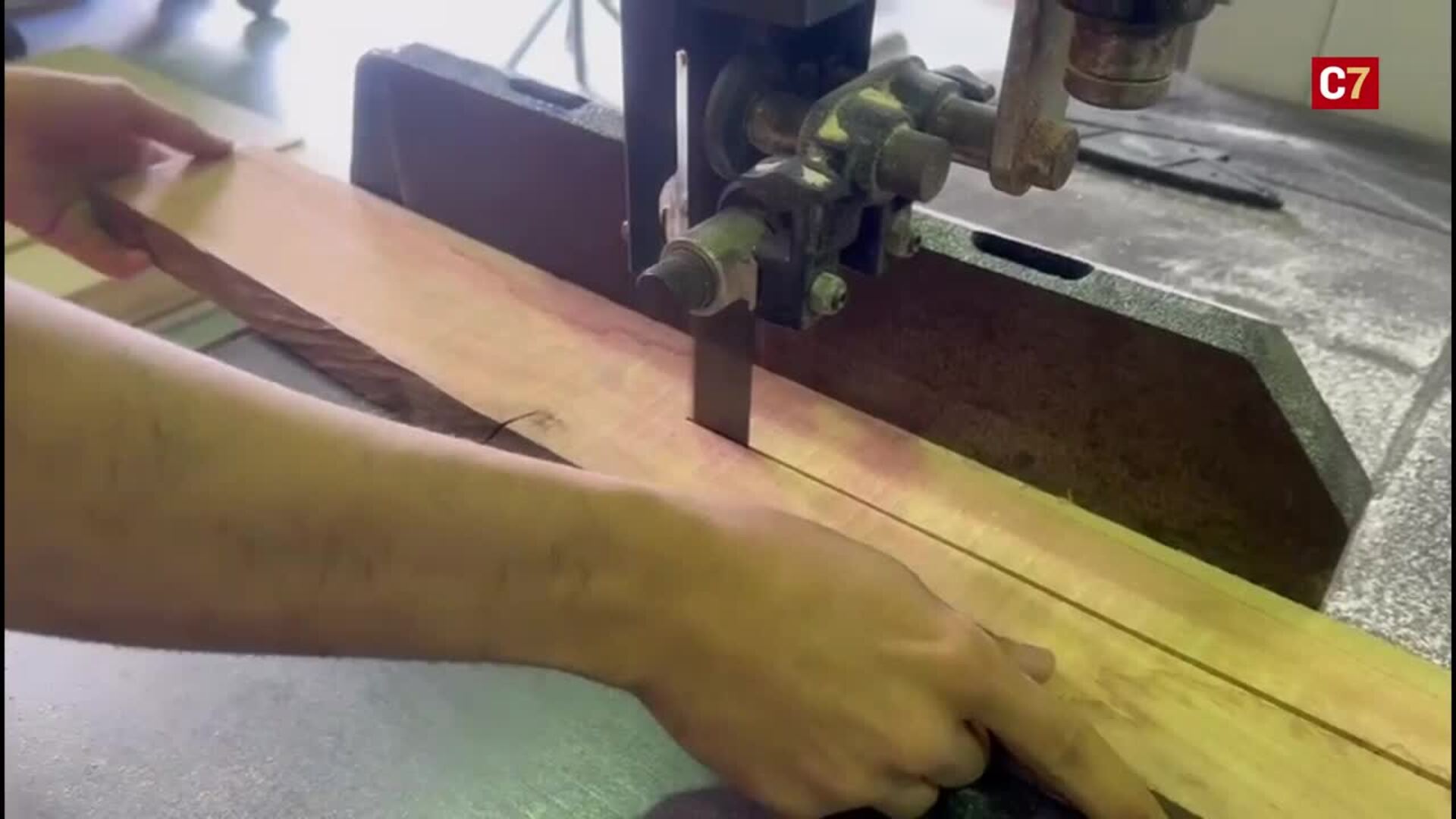 La madera de eucalipto rojo, todo un descubrimiento