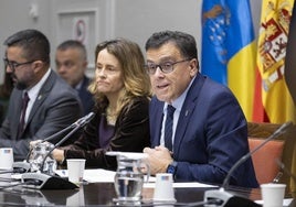 El consejero de Política Territorial del Gobierno de Canarias, Manuel Miranda, durante la comisión parlamentaria celebrada este viernes.