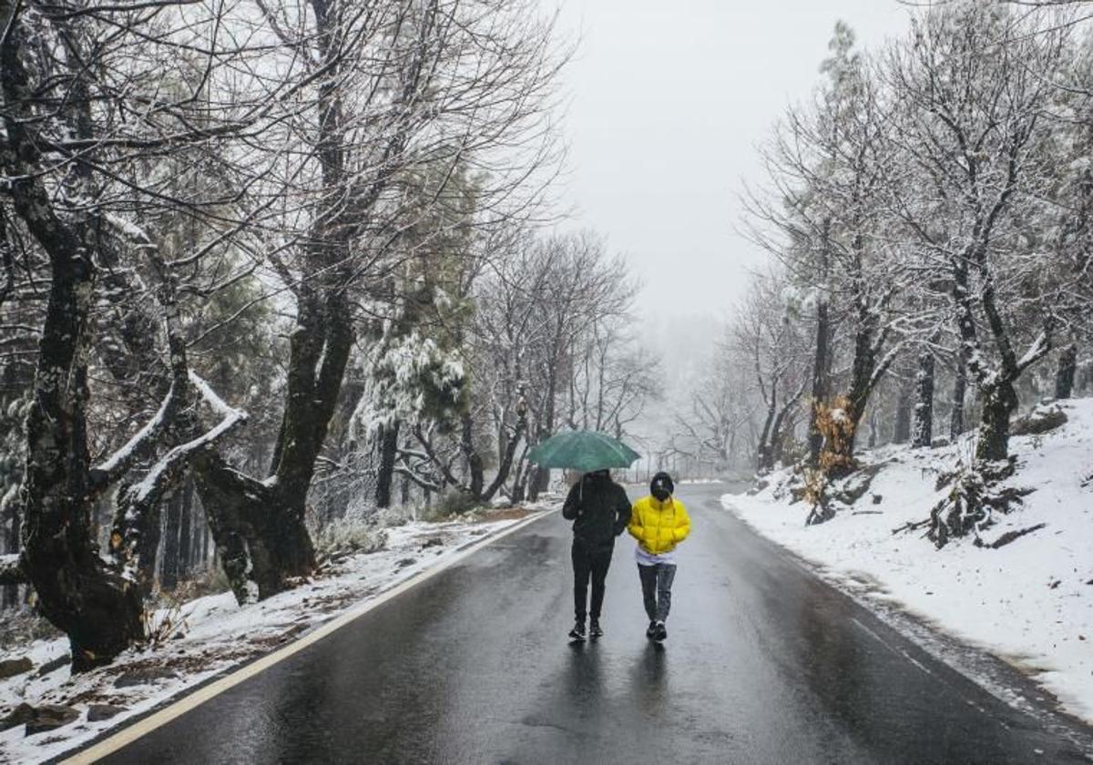 Imagen de la última nevada en las cumbres de Gran Canaria, en febrero de 2021.