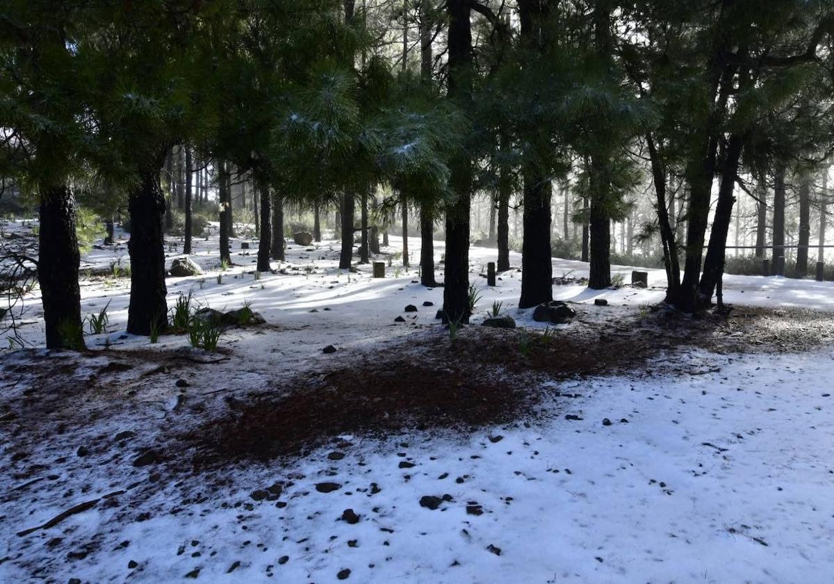 La cumbre de Gran Canaria cubierta de nieve.