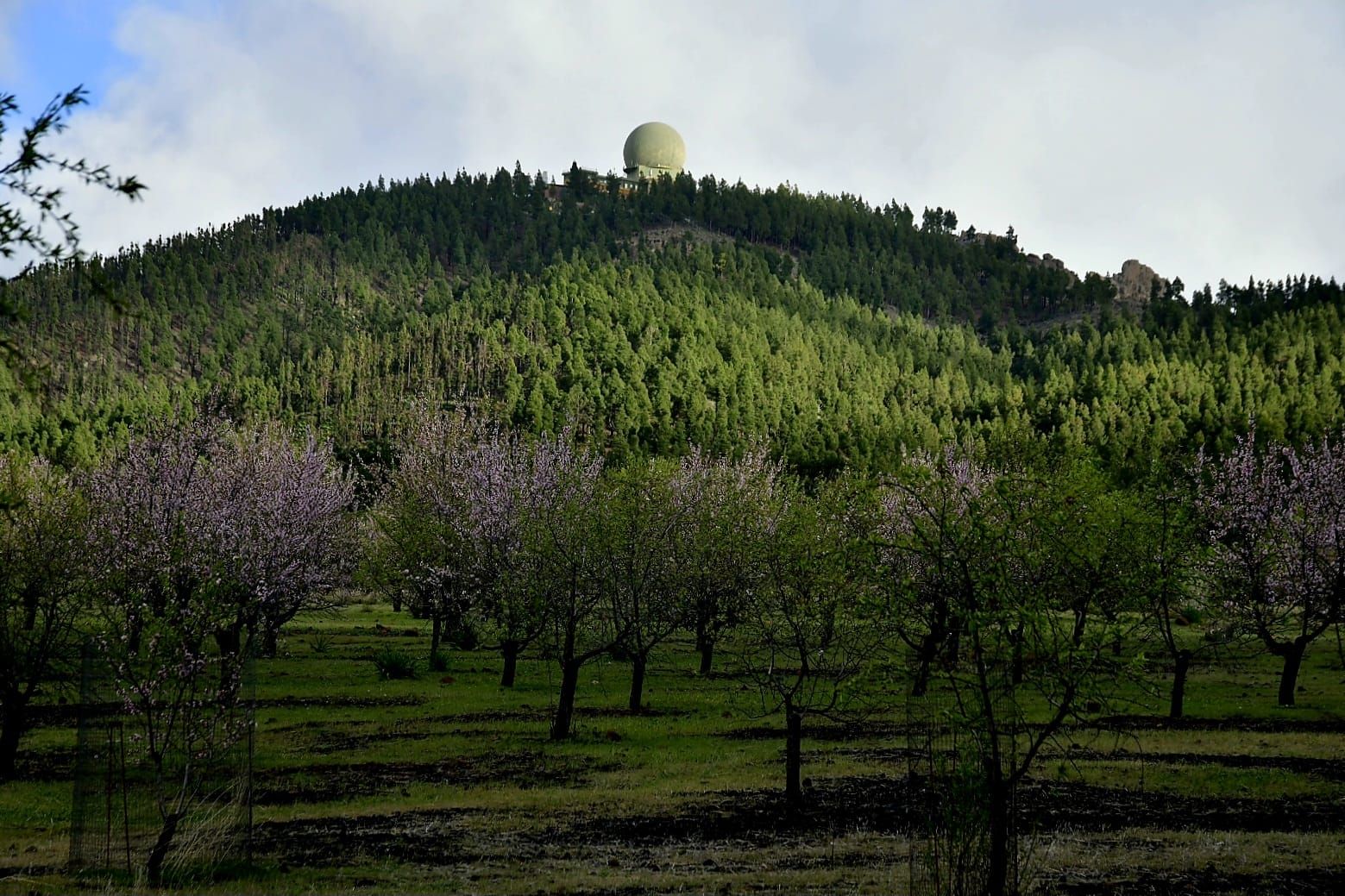 La cumbre de Gran Canaria presenta una fría postal verde