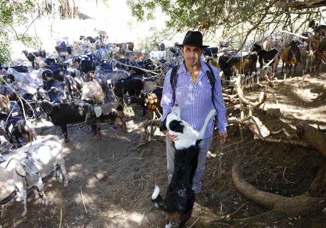 Francisco Óliver Díaz, junto a su ganado, en el barranco de El Hoyo. Es uno de los pastores encargados del ganado humano del carnaval tradicional de La Aldea de San Nicolás.