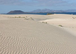 Fuerteventura: los turistas alemanes también son para el verano