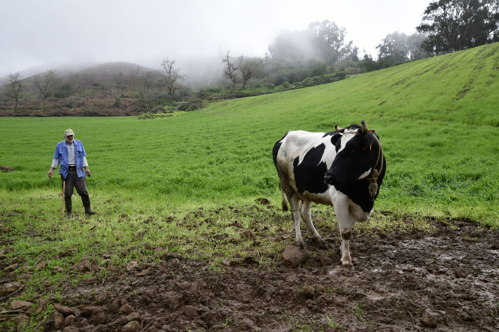 El campo agradece la lluvia, pero le sabe a poco
