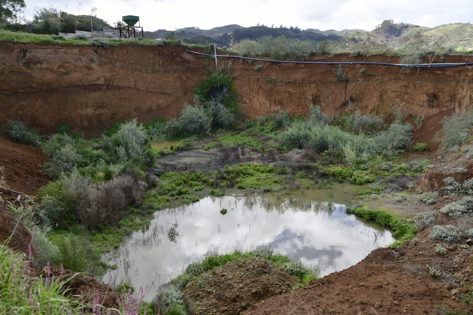El campo agradece la lluvia, pero le sabe a poco