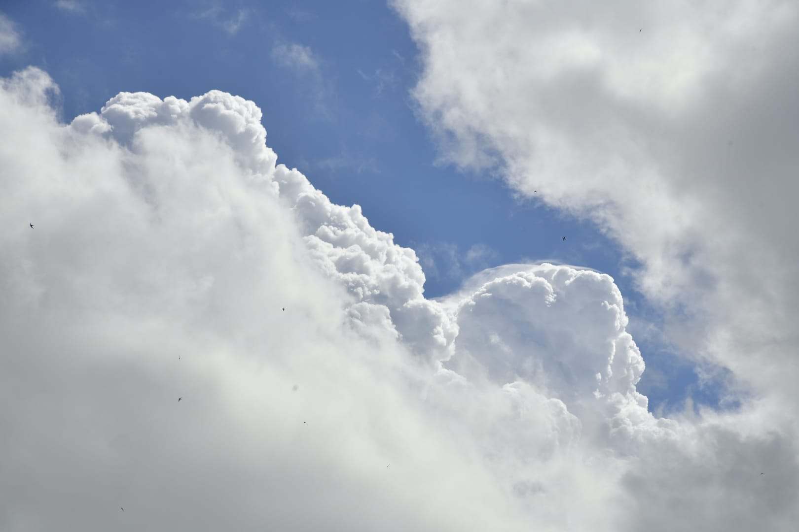 El campo agradece la lluvia, pero le sabe a poco