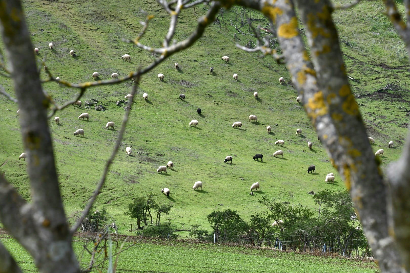 El campo agradece la lluvia, pero le sabe a poco