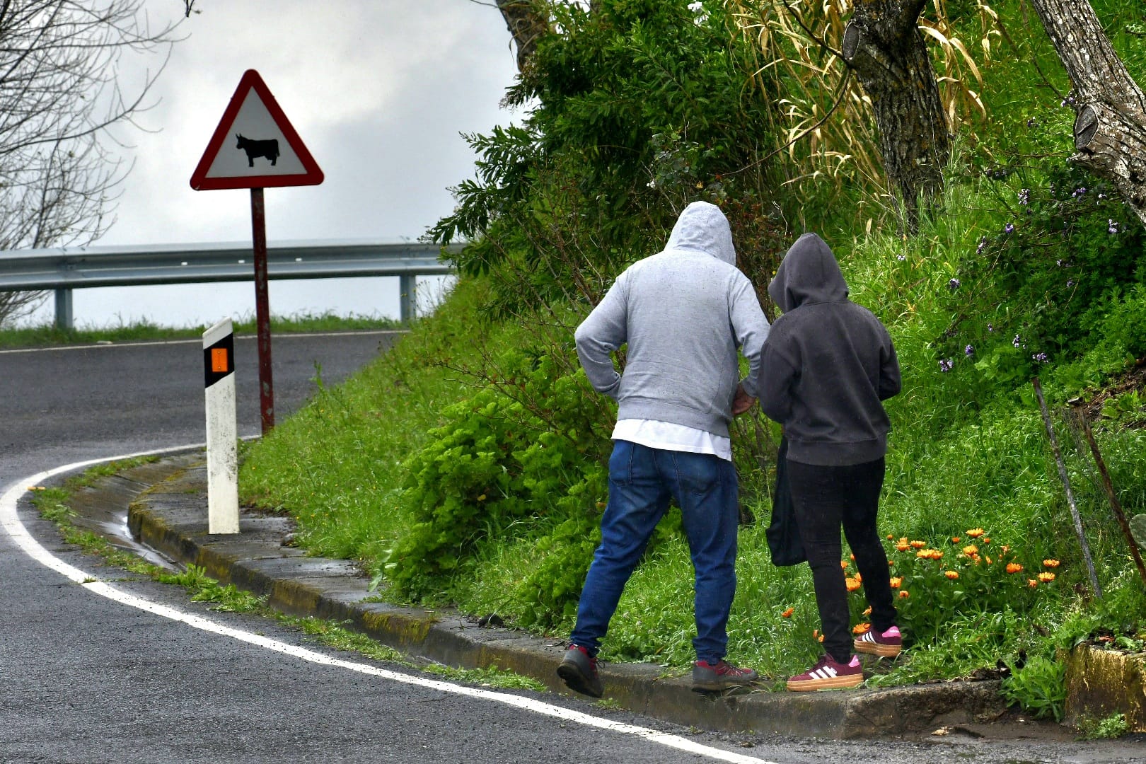 El campo agradece la lluvia, pero le sabe a poco