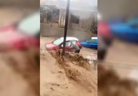 Un hombre salva la vida a una mujer en Telde.