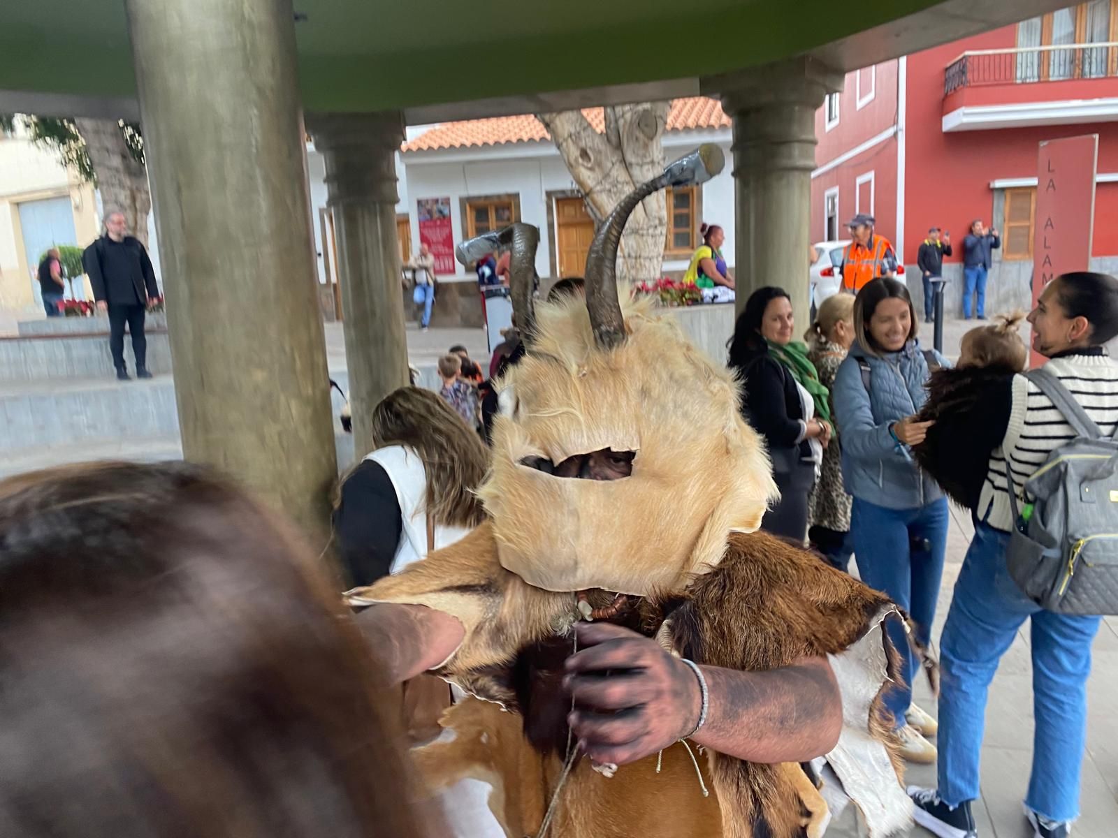 Estampida carnavalera de machos y cabras en La Aldea de San Nicolás