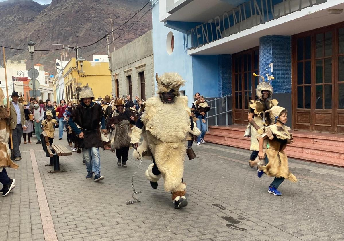 Estampida carnavalera de machos y cabras en La Aldea de San Nicolás