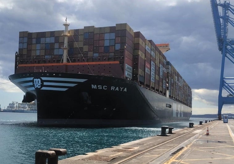 Imagen del MSC Raya en el Puerto de La Luz.