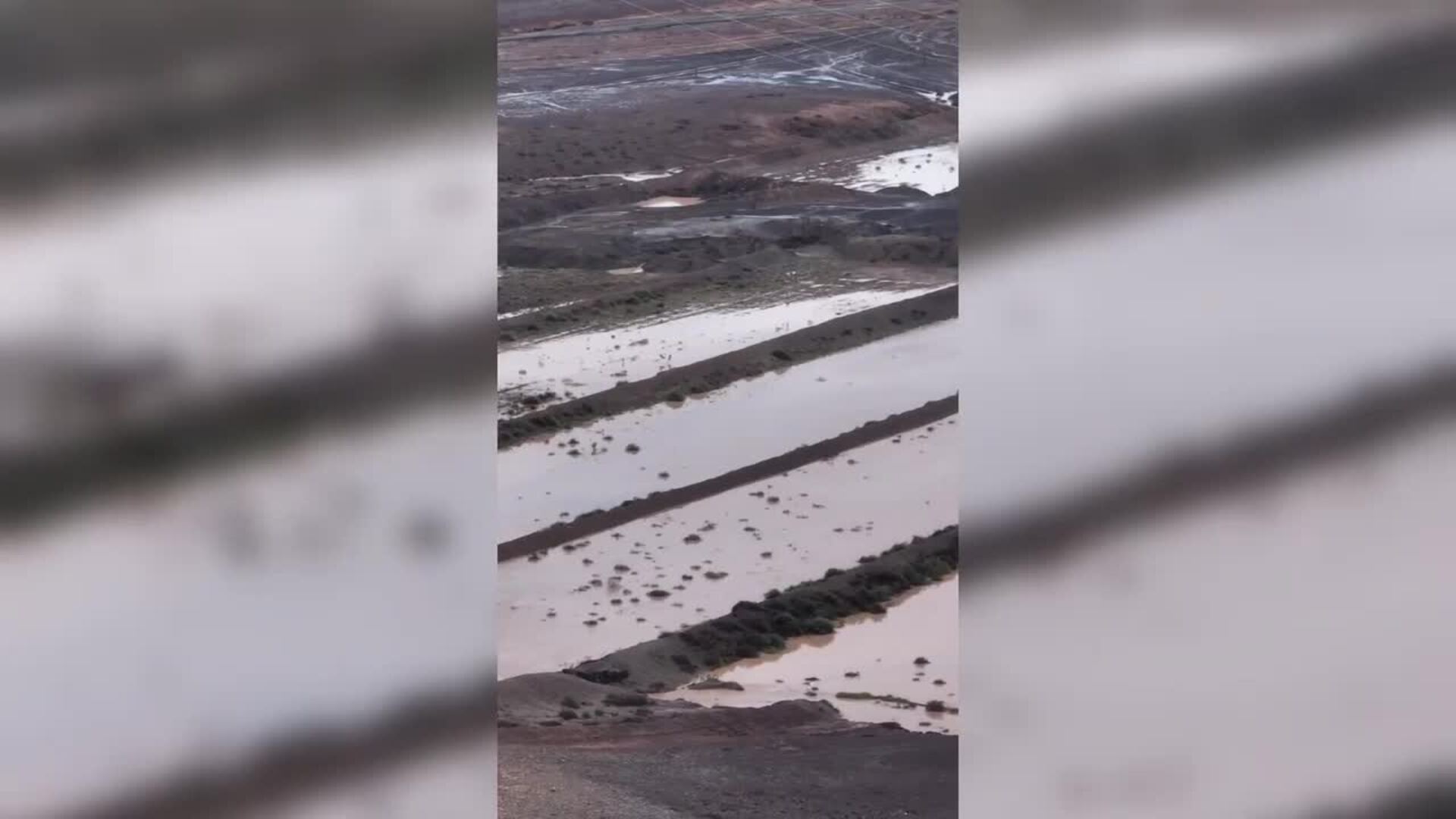 Hasta las cabras se mojan en Fuerteventura