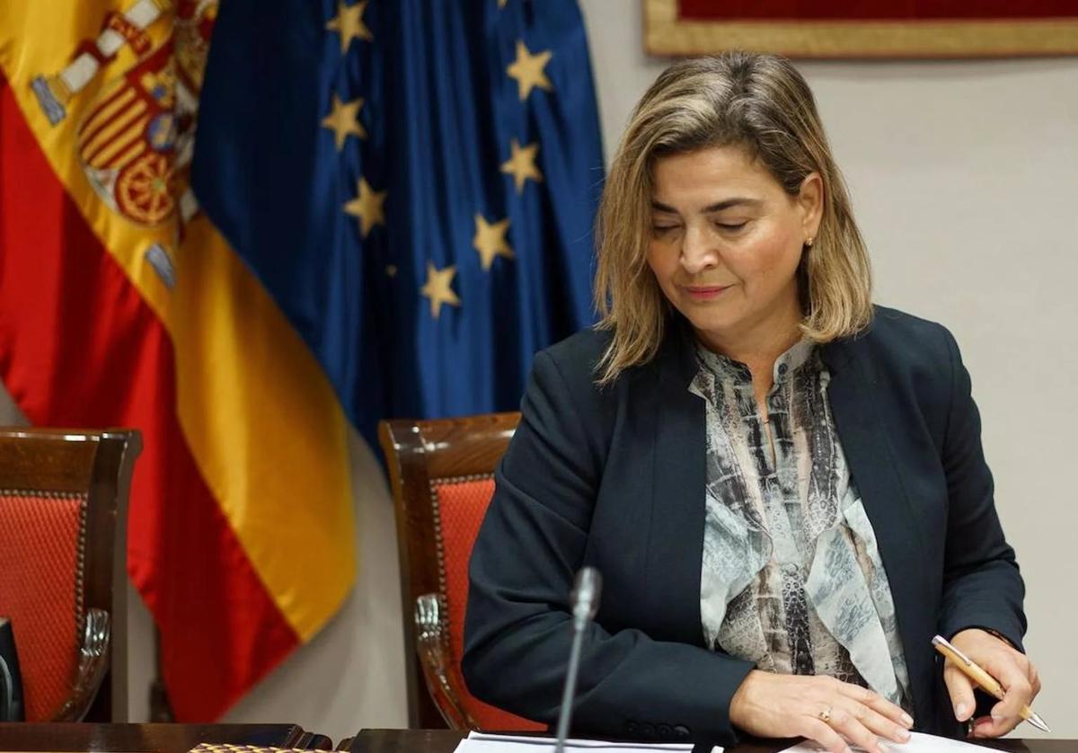 María Méndez compareciendo en el Parlamento canario en una imagen de archivo.