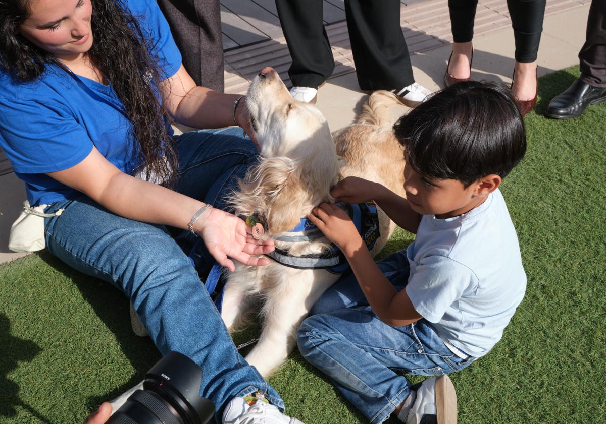 Imagen principal - &#039;Yogui&#039; es un hermano para Benjamín y el primer perro de asistencia acreditado de Canarias