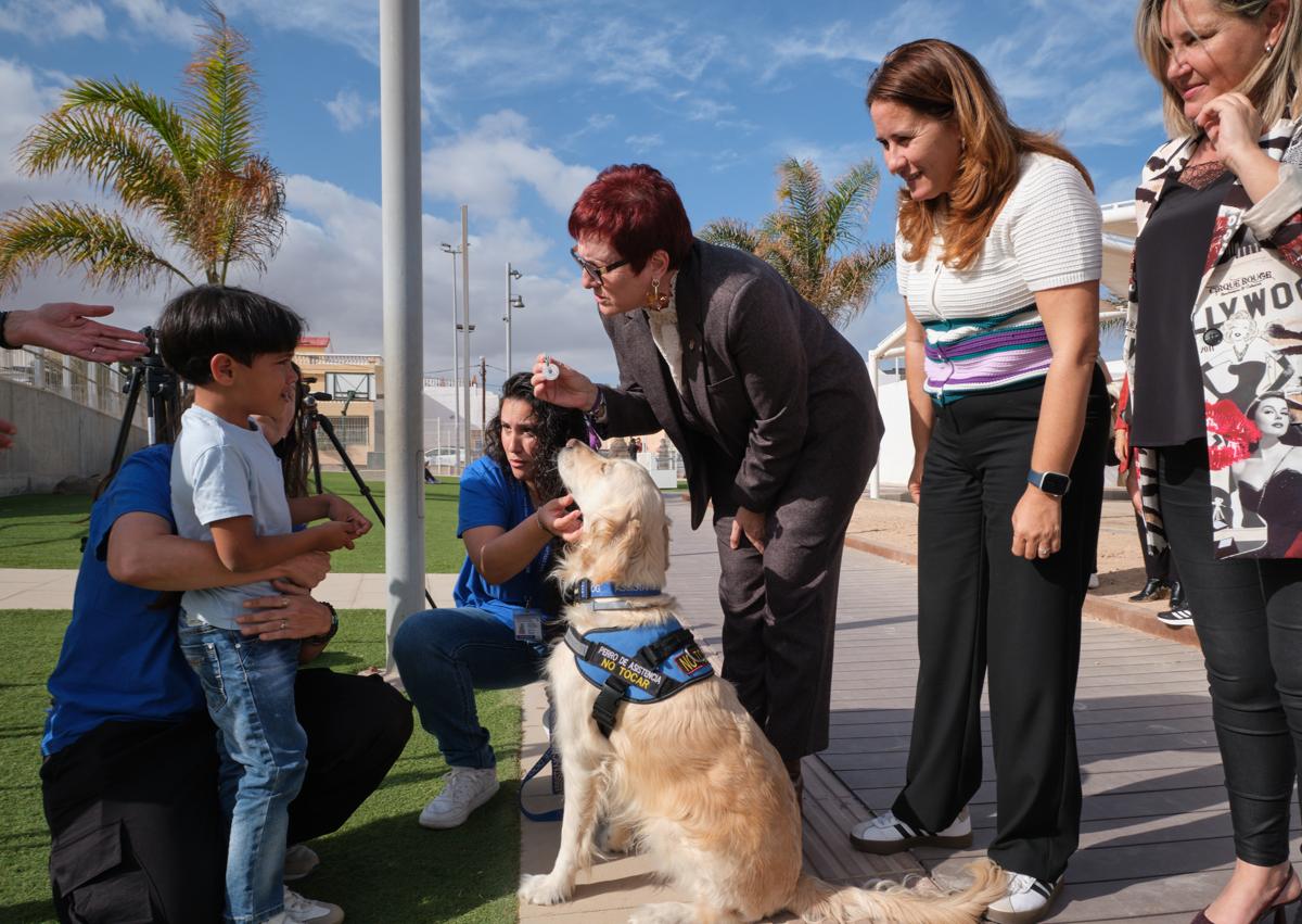 Imagen secundaria 1 - &#039;Yogui&#039; es un hermano para Benjamín y el primer perro de asistencia acreditado de Canarias