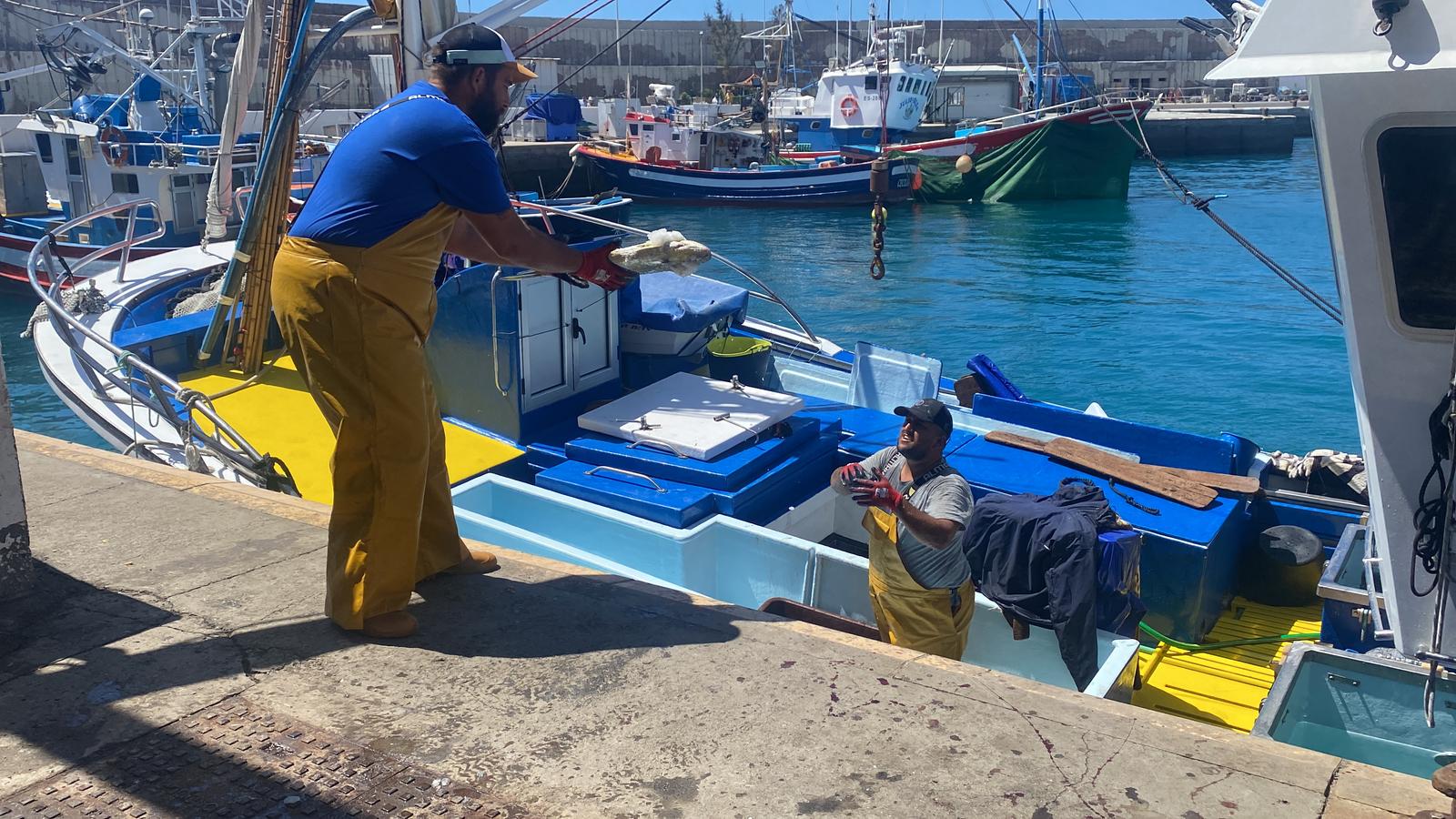 Imágenes del inicio de temporada del atún rojo en Gran Canaria