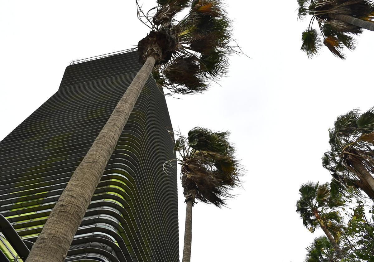 El viento volverá a ser el protagonista este lunes en las islas