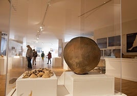 Gánigo y conchas de lapas en una vitrina del museo majorero.