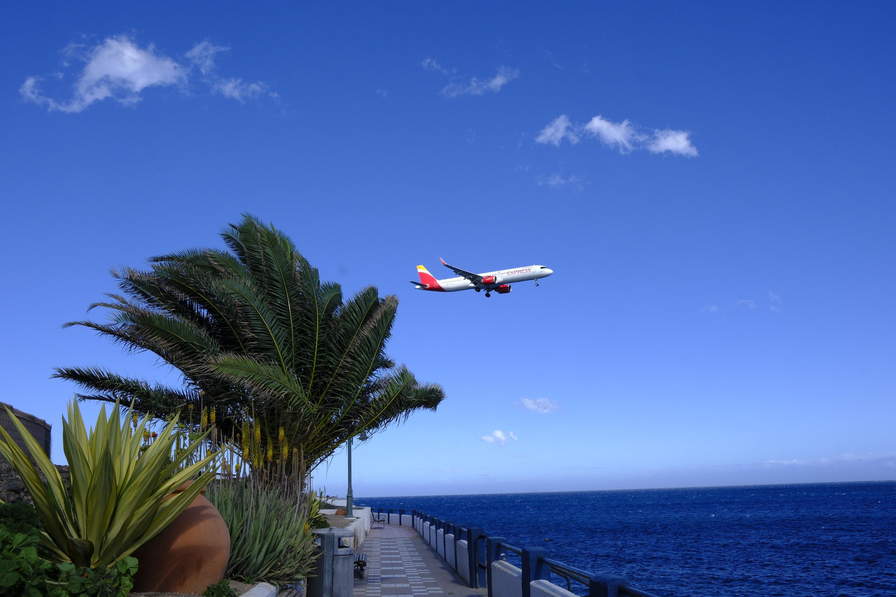 Las rachas de viento causan estragos en el norte de Gran Canaria