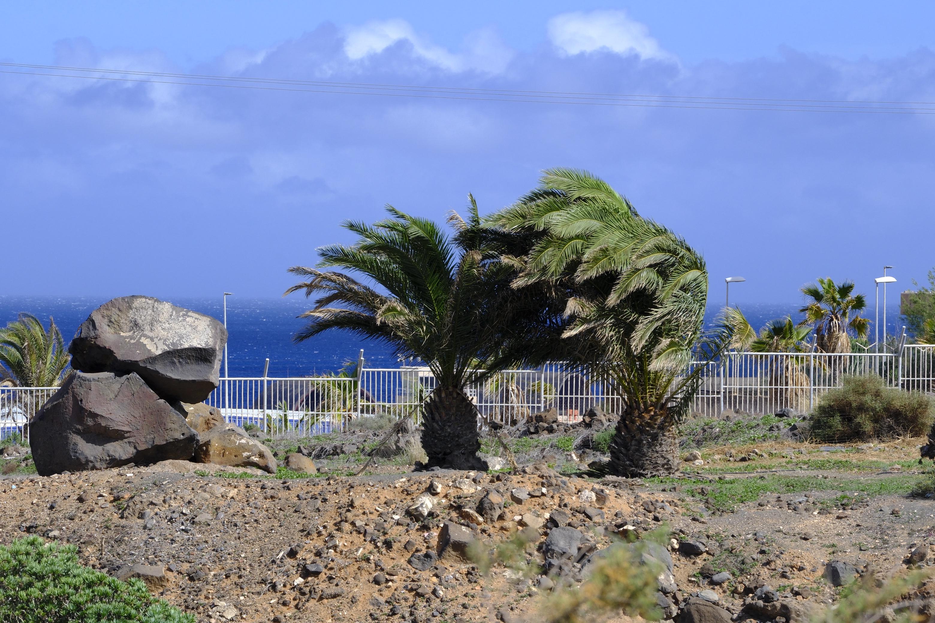 Las rachas de viento causan estragos en el norte de Gran Canaria
