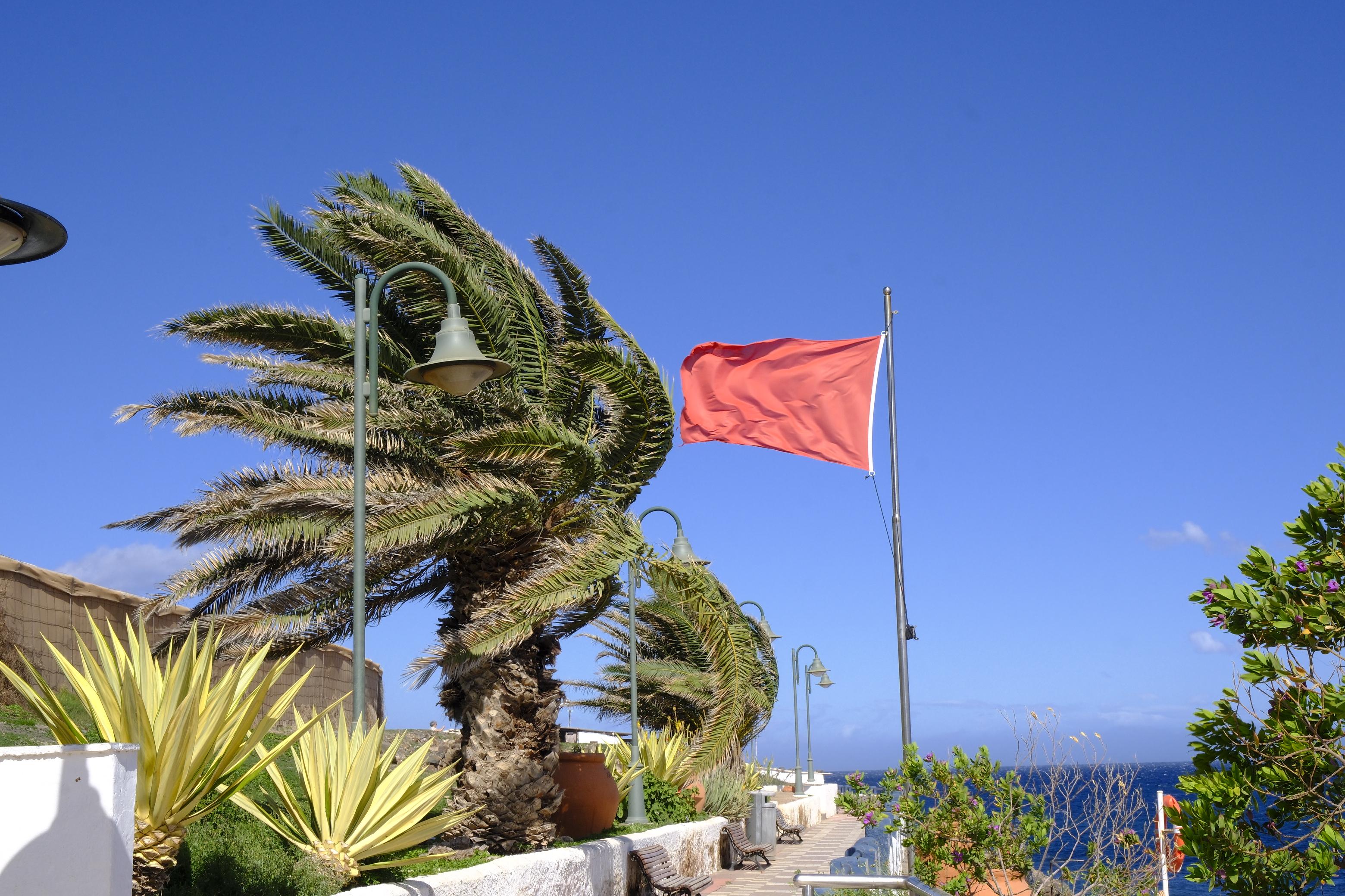 Las rachas de viento causan estragos en el norte de Gran Canaria