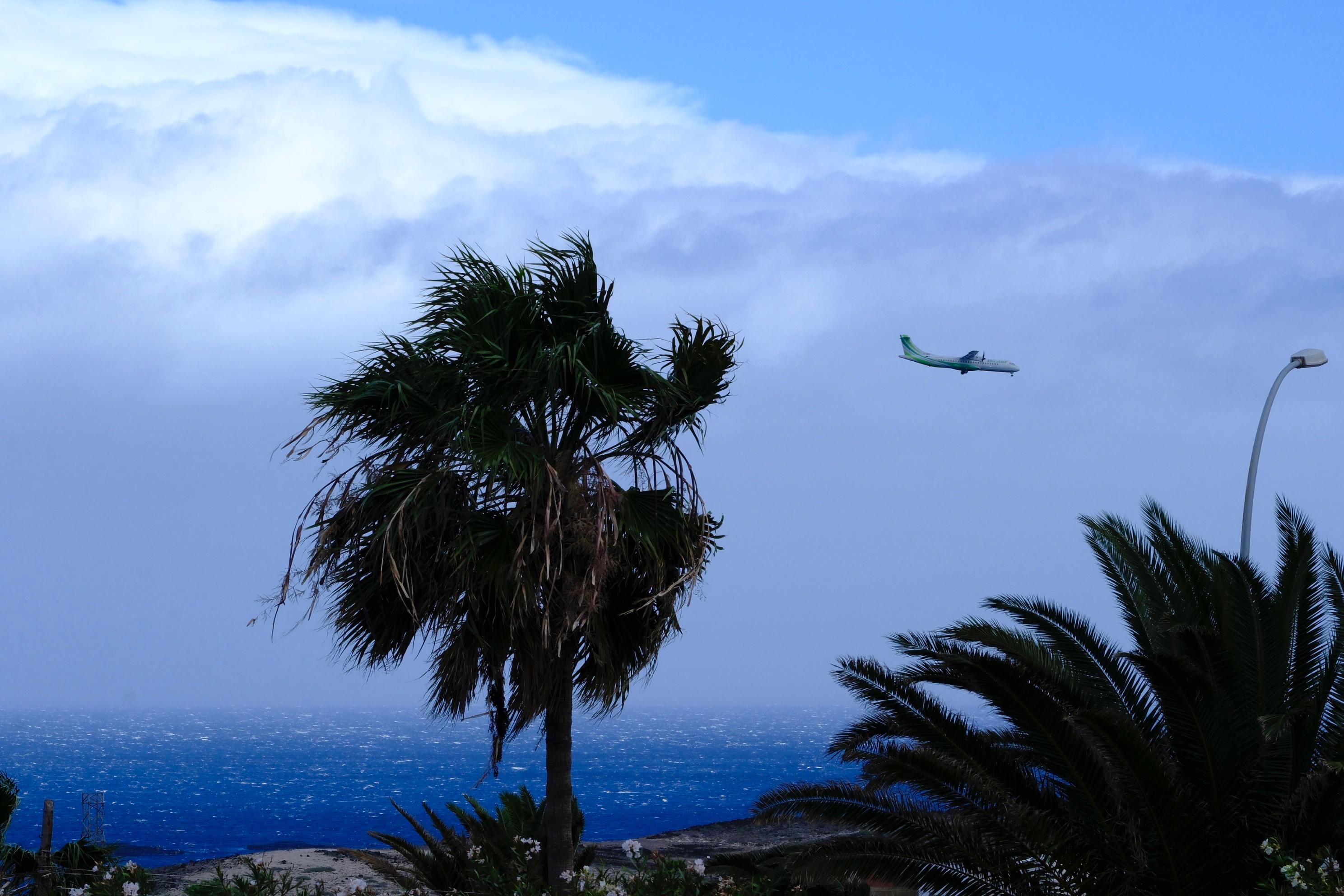Las rachas de viento causan estragos en el norte de Gran Canaria