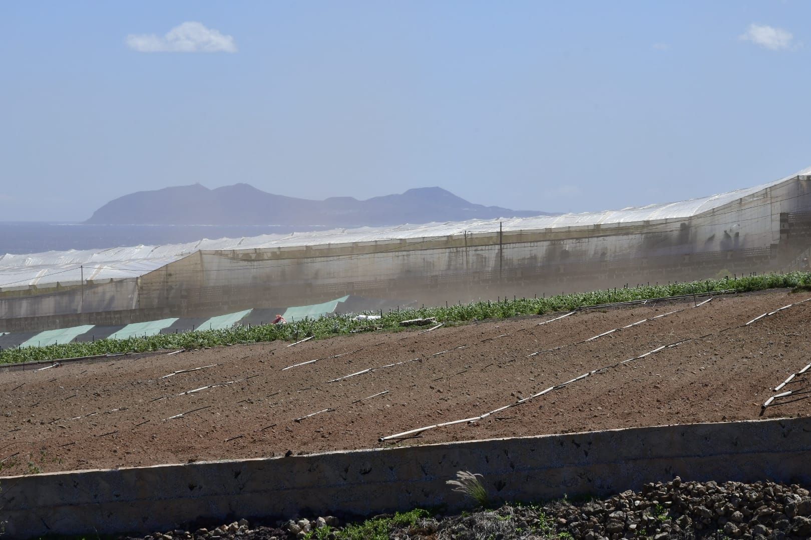Las rachas de viento causan estragos en el norte de Gran Canaria