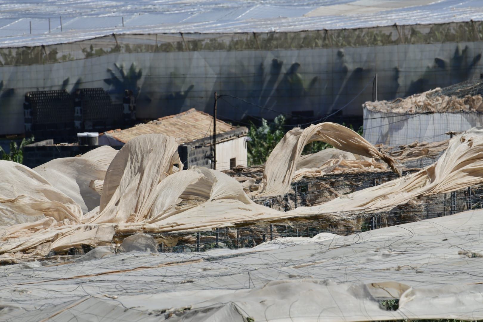 Las rachas de viento causan estragos en el norte de Gran Canaria