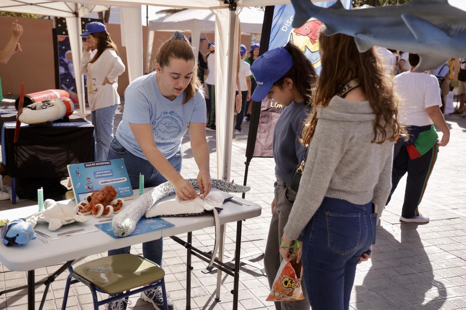 El CEIP García Lorca celebra sus olimpiadas científicas