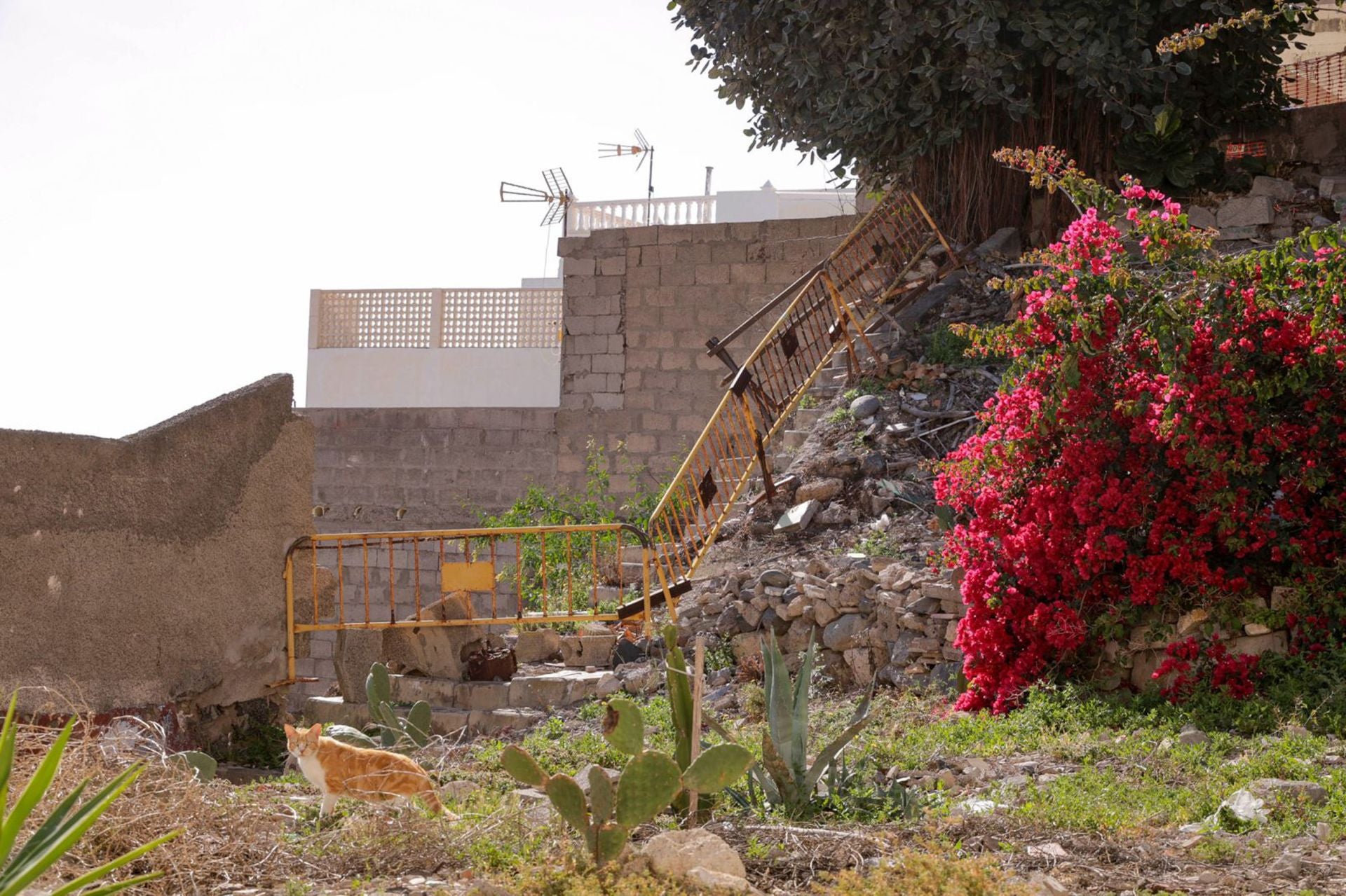 Los vecinos de San Roque enseñan el deterioro de sus calles