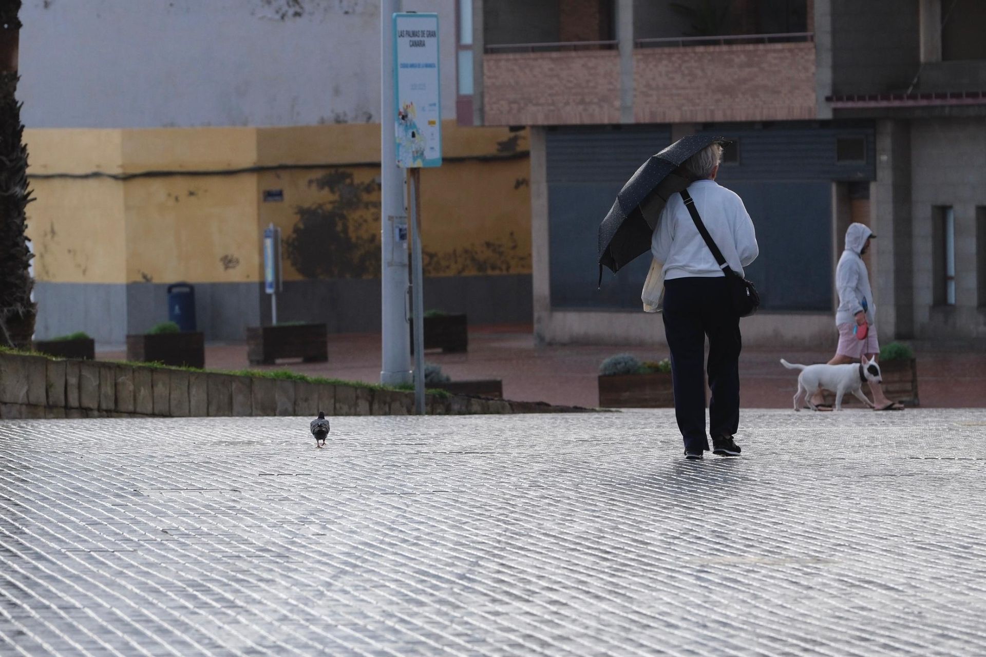 Entre paraguas y viento: La borrasca Olivier visita Canarias