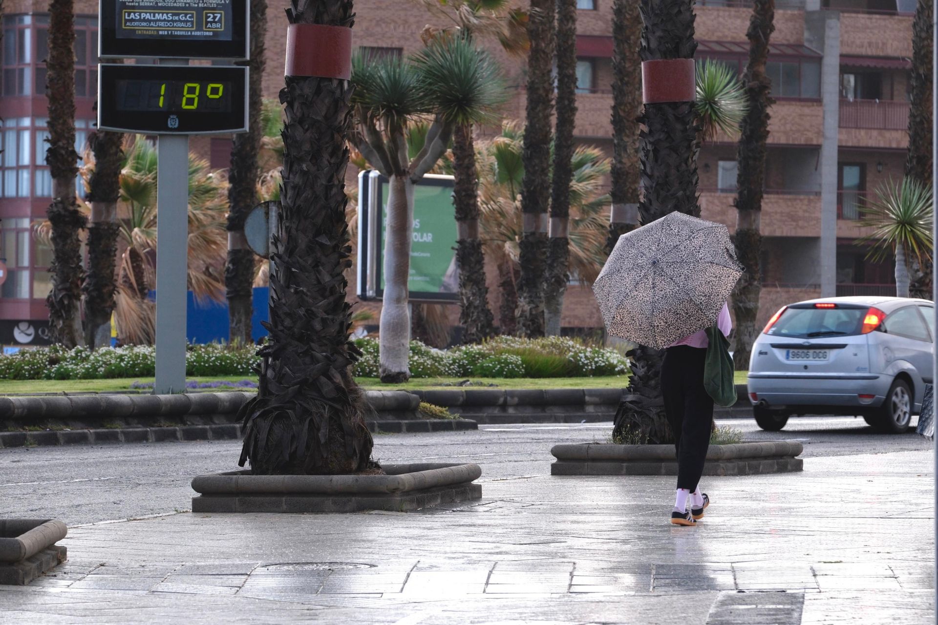 Entre paraguas y viento: La borrasca Olivier visita Canarias