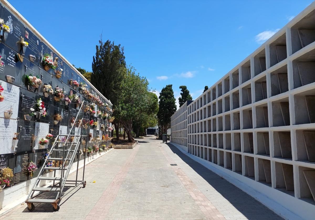 Informe ambiental favorable para la ampliación del cementerio de Ingenio