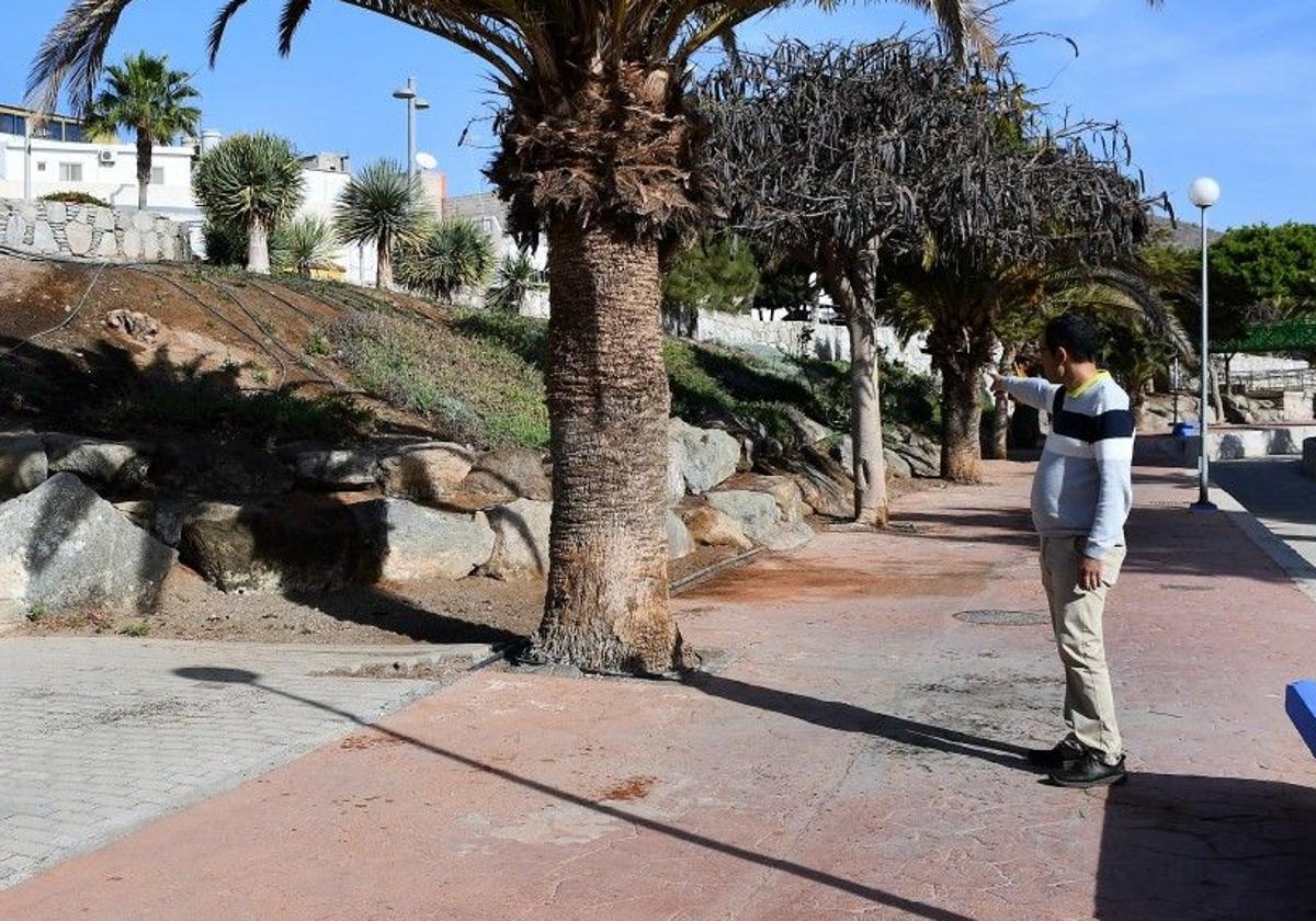 Los vecinos de Pino Seco piden poder votar sí o no al velatorio