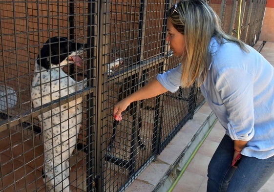 La edil Araceli Armas, en una imagen reciente, con uno de los perros alojados en el albergue.