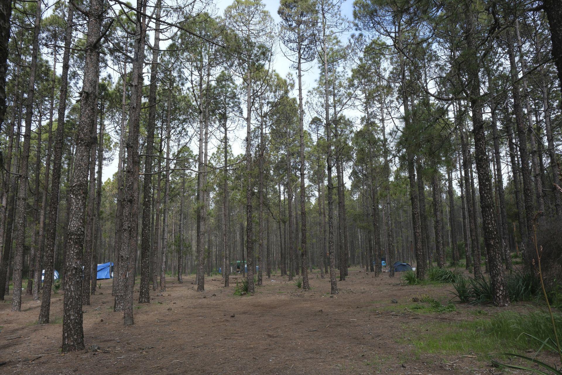 La Semana Santa se disfruta en la cumbre con abrigo y el calor familiar, en imágenes