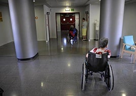 Dependencia en Canarias: el mismo perro con distinto collar