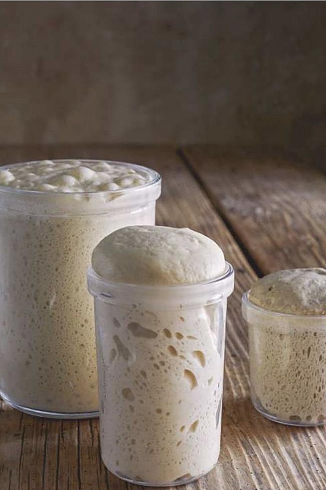 Interior de Fermentación: historia, usos y recetas