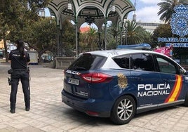 La agresión tuvo lugar la madrugada del pasado viernes en el parque San Telmo y se salda con tres varones detenidos.