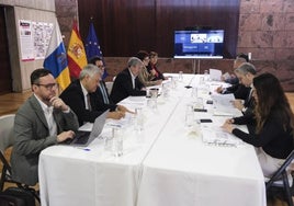 Reunión del pasado 3 de abril entre el ministro Ángel Víctor Torres, y el presidente canario, Fernando Clavijo sobre el auto del TS.